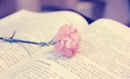 周二晨輝10句暖心絮語，喚醒內心力量，穩步向前