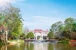 林青霞71歲狀態如何？景德鎮現身細節曝光