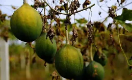這個夏天，和閨蜜一起穿上漂亮的衣服，來一場說走就走的旅行吧