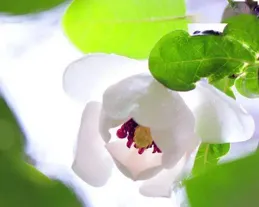 第2025143期預測福彩3D+排列三/五必看方案—高命中率組合解析！