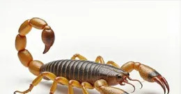 誰會成為下一個運勢逆襲的幸運星？