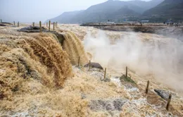豫菜廚師如何憑借一條魚，挑起豫菜復興的大旗？