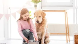 口碑好的狗糧排行榜，狗糧怎麽選不踩雷，推薦知名品牌與最新技術