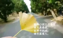朋友圈隨心說說短句，簡短吸引人！讓人欣賞無限
