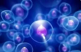 血液 「囊泡密碼」 揪出早期乳癌，準確率超 90%！