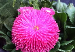 「句句走心的經典文案，百看不厭。」