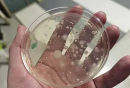 什麽是優質的親子時光？