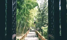 從7萬字到35集，【長安的荔枝】挑戰「不可能完成的任務」