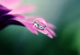 六月過去，福氣來到，四大星座，持續努力