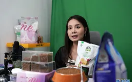 從品質提升到品牌破圈，看河北南和如何領跑寵物產業