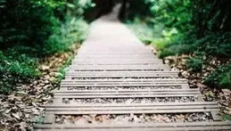 醉臥沙場聽過，醉臥考場還沒聽過