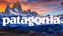 全球缺貨的Patagonia，在唯品會上打折賣？