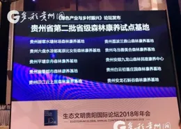 我市連續5年上榜 「中國康養產業永續發展能力20強市」