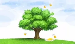 2025年「幸福家園-種下希望樹」計畫培訓收官