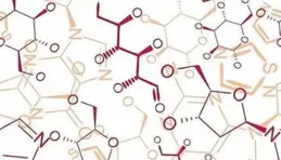 核反應中有催化劑嗎？核反應是否也有類似於化學反應的「反應平衡」與「勒夏特列原理」？