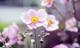 女人經常穿別人的舊衣服，往往會有兩種命運