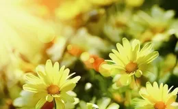 枕邊人這3個騷操作，說明：你在對方心裏，並不重要