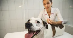 如何戒掉遊戲重新改善生活的重心?