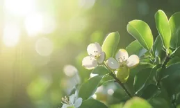 為什麽「產生關系」後，女生對男生的愛會更深了？