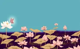 鏡花水月：科學揭秘千年成語背後的光學真相