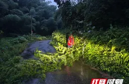 桃江縣大栗港鎮：黨員鄰長先「汛」一步，群眾保障多添一份