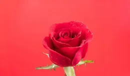 人生低谷不可怕，熬過去你就贏了