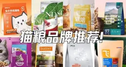 貓糧品牌排名前10名：評測與推薦，找到最適合你貓咪的選擇