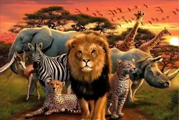 深度科普：動物只會在發情期交配，為何人類隨時都可以「交配」？