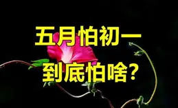 老話說「六月怕初一」，明日六月初一，有啥怕的？看老人咋說