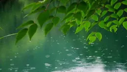 窗前雨景