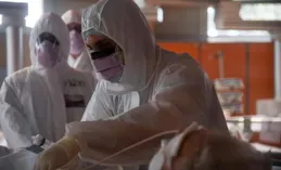 又一中國科學家被美國抓捕！涉嫌走私寄生蟲樣本，入境前清除證據