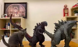 貓咪COSER的自我修養