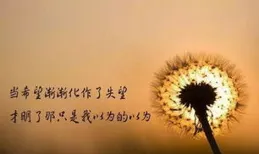 學會對自己說「算了」：像風吹散敏督利，有些事不必追著問答案