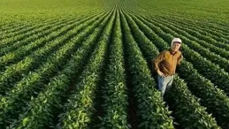 一碗湘米中的農業現代化之路