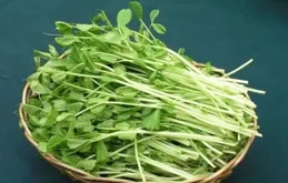 吃豆苗對身體的好處