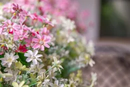 買梳妝台去哪買現成的？線上線下選購全攻略