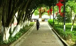 澄懷觀道：胥力浦文人畫傳統的當代性詮釋