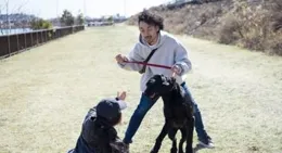 揭秘！愛犬「撲向主人」的3大理由及改善秘籍