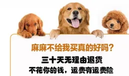 2025年最建議買的狗糧品牌，帶給愛犬健康與活力的最佳選擇