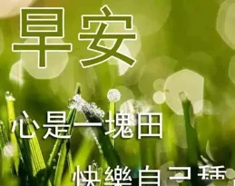 周一早安！發條不一樣的朋友圈文案，開啟元氣滿滿的一天