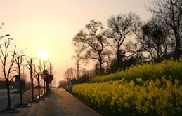 「某女子花1.3萬購買2千平農村小院」：這是我放棄20萬的原因