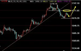 和訊投顧謝正光：震蕩為短期調整，重點關註資金相對關註的板塊