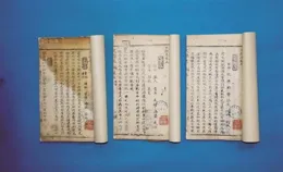 從瑤浴到熱灸：宮延樓如何用非遺技藝守護夏日健康