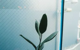 7月窮日子到頭！這3生肖轉運接橫財入賬，賺錢袋子飽飽