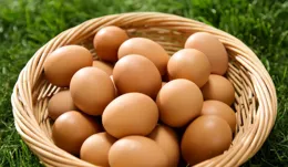 常吃這4種高蛋白食物，個子能猛漲？