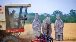 揭秘千年石刻與麥田如何共生