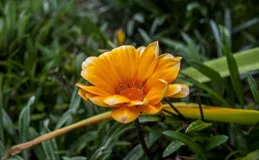 一個男人，如果這樣對你：關系該斷就斷，不必可惜