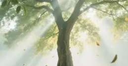 擁有健康的身體是你幾世修來的福報？