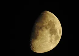 月球表面竟有「陸地」和「海洋」？一文看懂月陸與月海的秘密