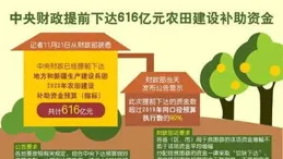 財政部：抓緊建立實施育兒補貼制度